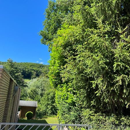 Gaestehaus Zum Buchenweg Hasenfeld エクステリア 写真