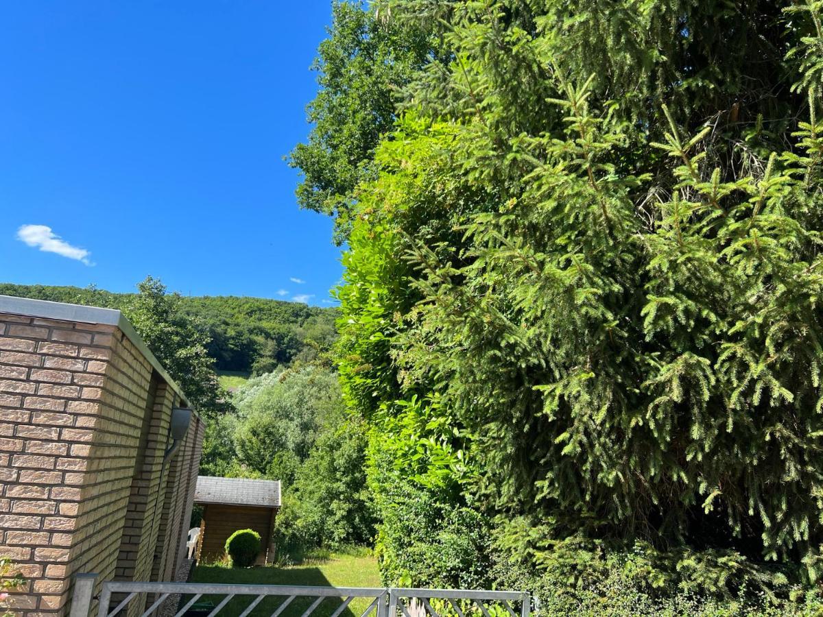 Gaestehaus Zum Buchenweg Hasenfeld エクステリア 写真