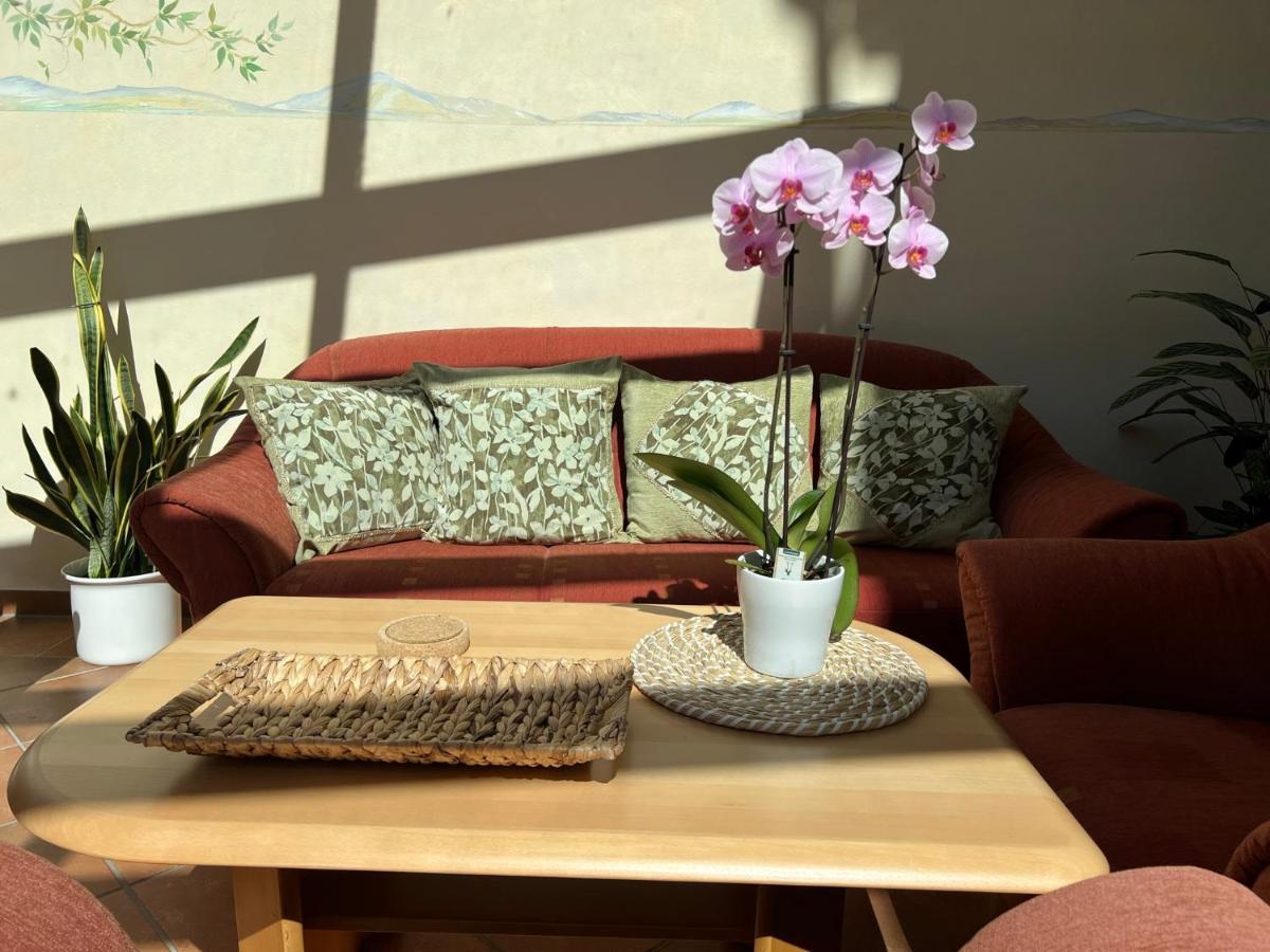 Gaestehaus Zum Buchenweg Hasenfeld エクステリア 写真